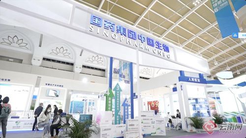 趙立堅(jiān)發(fā)博,點(diǎn)贊南博會(huì)