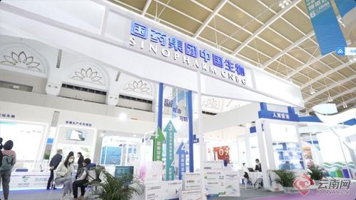 智慧引領(lǐng)，科技賦能 記者帶你解鎖南博會(huì)新體驗(yàn)——恒特發(fā)展焦點(diǎn)