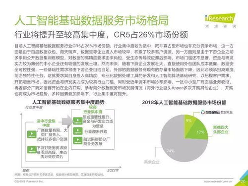 中國(guó)人工智能基礎(chǔ)數(shù)據(jù)服務(wù)與基礎(chǔ)軟件開(kāi)發(fā) 雙輪驅(qū)動(dòng)下的產(chǎn)業(yè)躍遷
